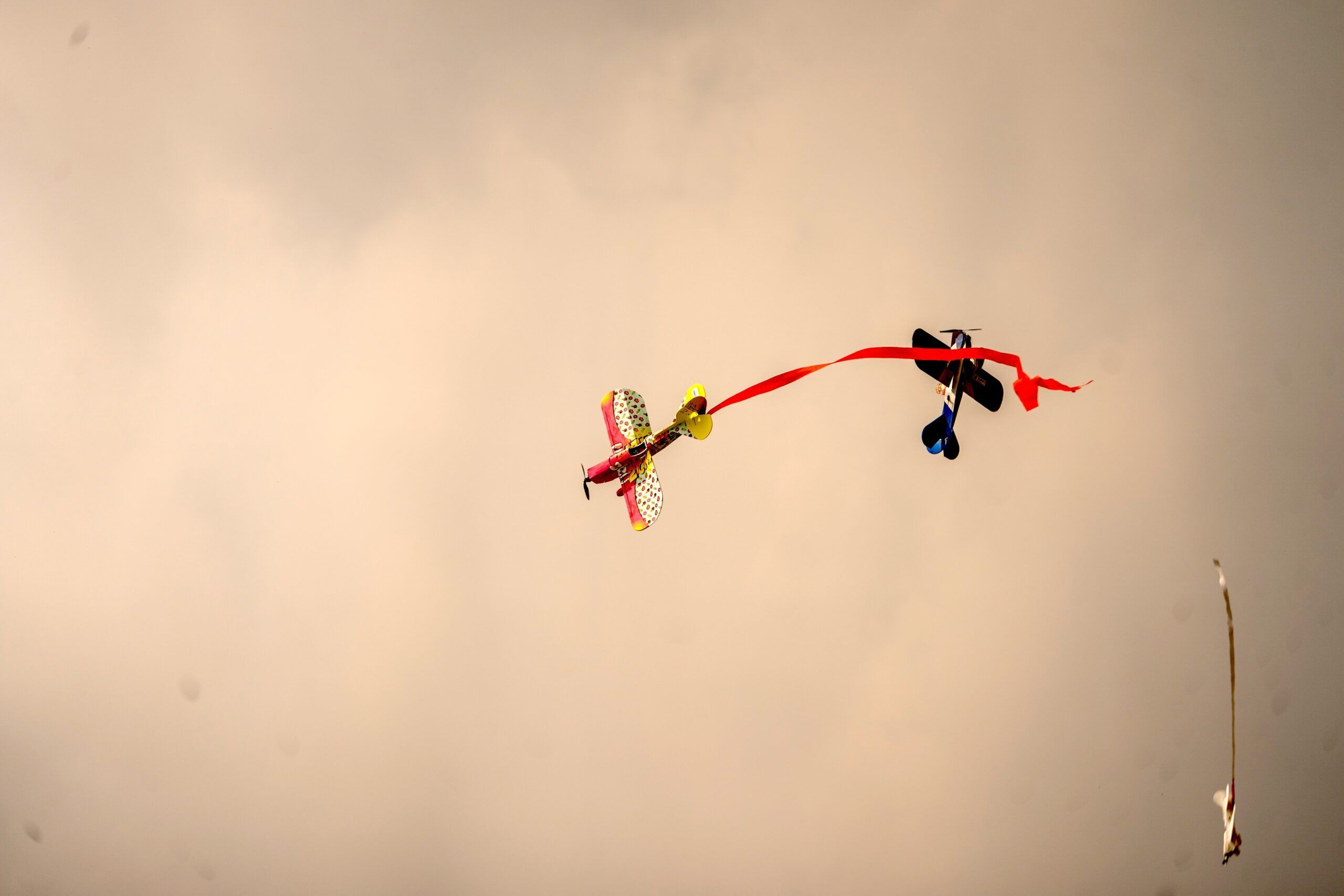 DSC09492 1 scaled c66eae65